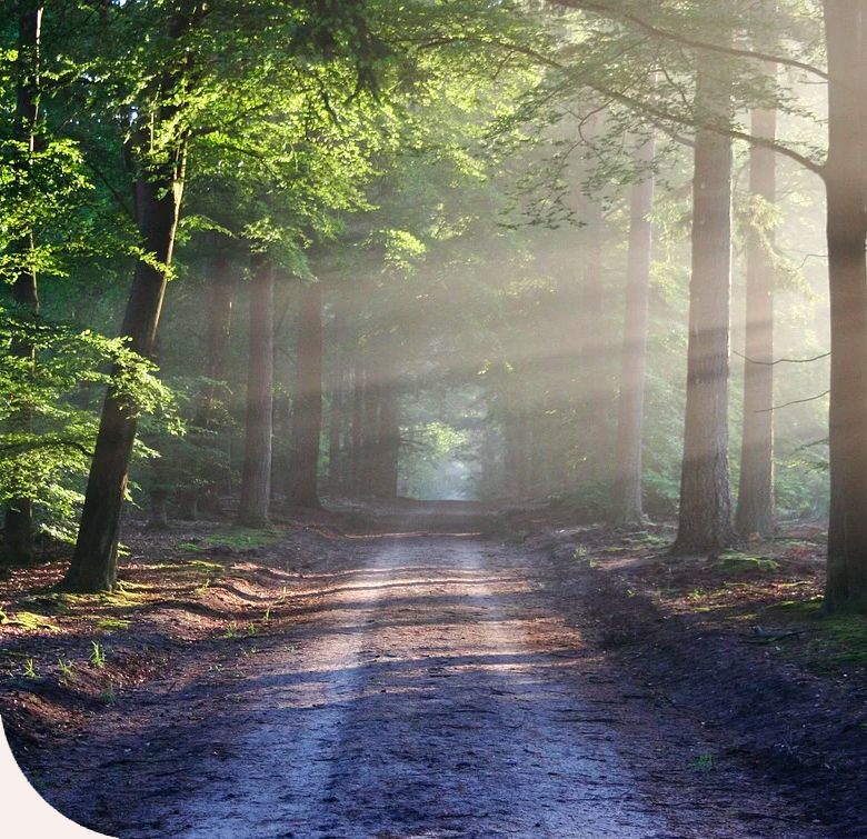 mindfulness2 mindfulness2